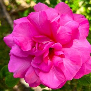 Deleting my account. Make me an offer on anything that is still available!